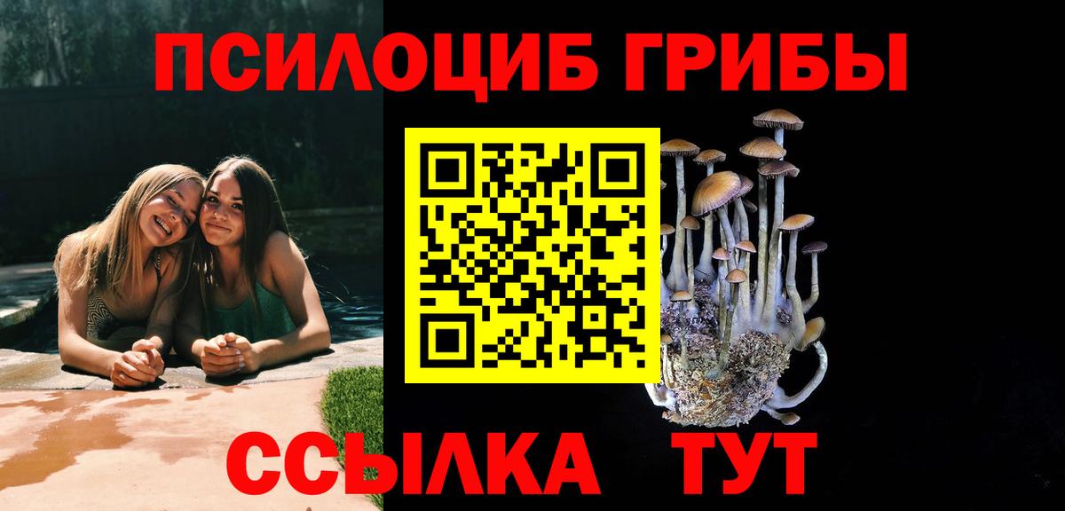 Псилоцибиновые грибы Cubensis  Вход с VPN  Углич  Галлюциногенные грибы Cubensis 